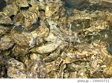 厚岸産かき　厚岸産牡蠣　厚岸ブランドかき 130433711