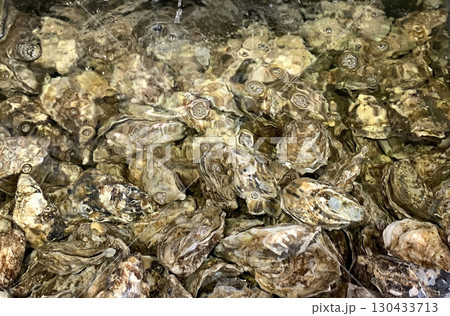 厚岸産かき　厚岸産牡蠣　厚岸ブランドかき 130433713