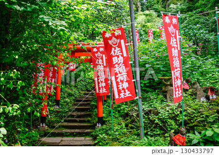 鎌倉市　佐助稲荷神社　拝殿横　御塚への赤鳥居　源頼朝ゆかりのパワースポット 130433797