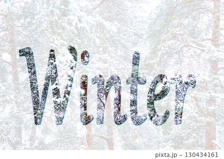 Fresh inscription Winter on light snowy forest Fresh inscription Winter on light snowy forest 130434161