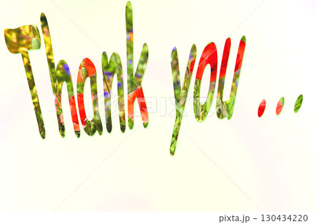 Gratitude inscription Thank you from red poppy flowers on white 130434220