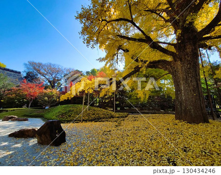 世田谷 九品仏の紅葉 世田谷 九品仏の紅葉 130434246
