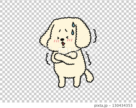 Are you nervous? Are you cold? Do you have a cold? The shivering poodle 130434353