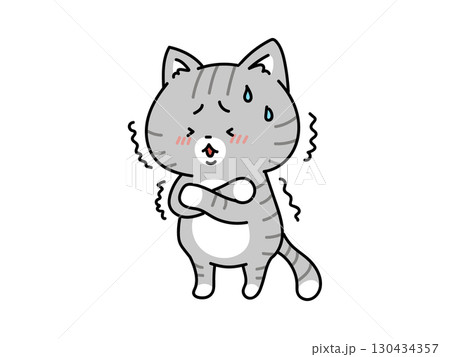 緊張してる？寒い？風邪かな？震える猫ちゃん 130434357