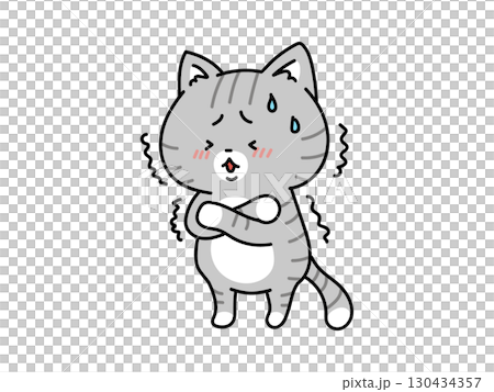 緊張してる？寒い？風邪かな？震える猫ちゃん 130434357