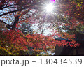 世田谷　九品仏の紅葉 130434539