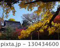世田谷　九品仏の紅葉 130434600