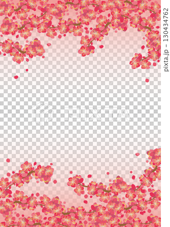 背景材料<花、梅花(簇生、簇生)及大量開放的花瓣、色彩> 背景材料<花、梅花(簇生、簇生)及大量開放的花瓣、色彩> 130434762