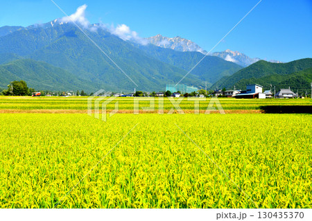 大町市平より爺ヶ岳～鹿島槍ヶ岳～五竜岳方面を望む(長野県大町市)【2025.9】 130435370