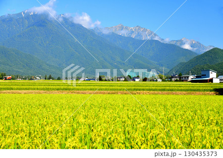 大町市平より爺ヶ岳～鹿島槍ヶ岳～五竜岳方面を望む(長野県大町市)【2025.9】 130435373
