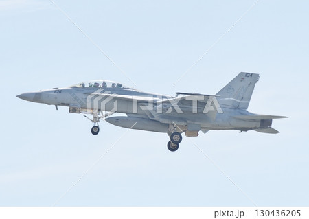 デモフライトを行う米海軍のF/A-18F　スーパーホーネット　VFA-102　ダイアモンドバックス 130436205