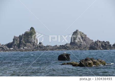 真鶴　三ツ石海岸 130436493