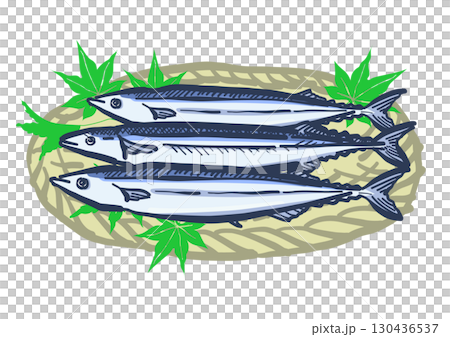 Pacific saury served on a bamboo basket. Autumn flavors: Pacific saury and maple leaves. 130436537