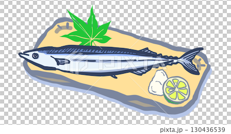 秋刀魚（秋季當季魚類）的毛筆插圖（無背景）。 130436539