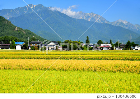 大町市常盤より爺ヶ岳～鹿島槍ヶ岳～五竜岳方面を望む(長野県大町市)【2025.9】 130436600