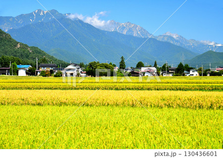 大町市常盤より爺ヶ岳~鹿島槍ヶ岳~五竜岳方面を望む(長野県大町市)【2025.9】 大町市常盤より爺ヶ岳~鹿島槍ヶ岳~五竜岳方面を望む(長野県大町市)【2025.9】 130436601