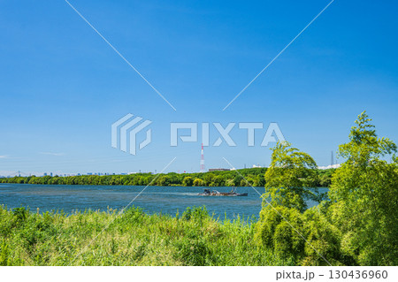 淀川夏景色　枚方市 130436960