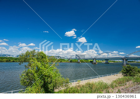 淀川夏景色 枚方市 淀川夏景色 枚方市 130436961