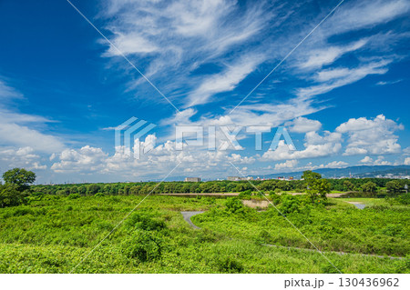 淀川夏景色　枚方市 130436962