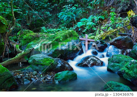 New Zealand Native Bush Rushing Water Around A Cross New Zealand Native Bush Rushing Water Around A Cross 130436976