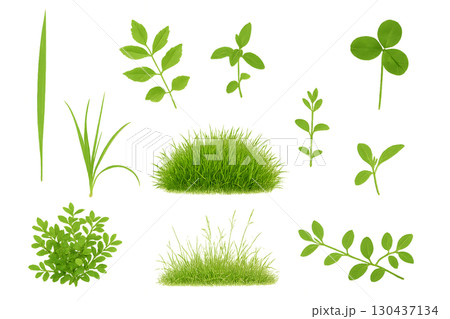 緑の植物と草の透過シルエット素材セット 130437134
