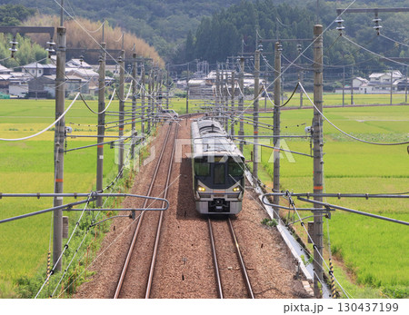 秋の福知山線 三田付近を走る225系 秋の福知山線 三田付近を走る225系 130437199