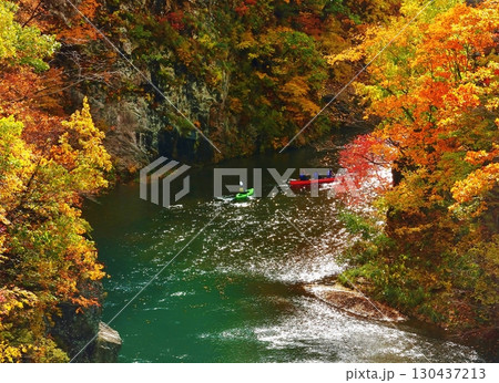 錦秋屏風！ 130437213