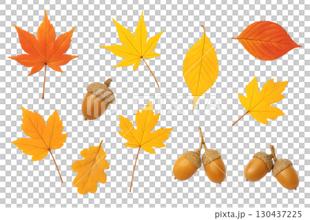 秋葉和橡子透明材質套裝 130437225