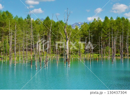 神秘の池 130437304