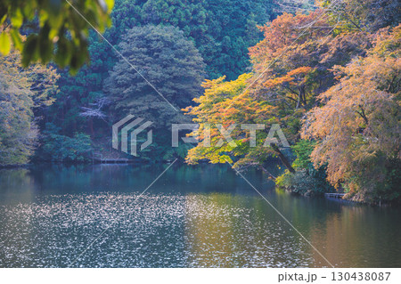 紅葉シーズンの鎌北湖 130438087