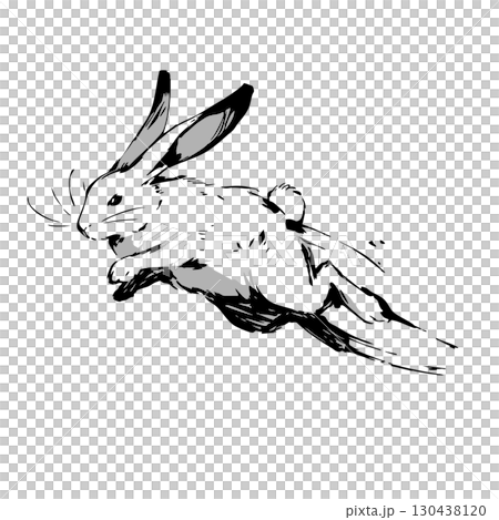 一隻兔子 130438120