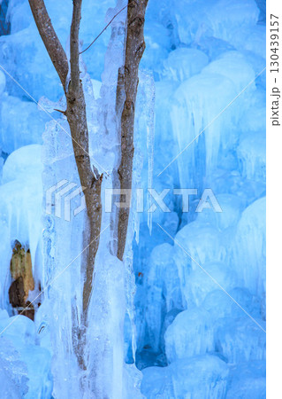 沢山の氷柱 沢山の氷柱 130439157