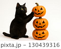 ハロウィンのジャックオーランタンを積み重ねる黒猫 130439316