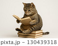 本を読んで勉強する猫　読書・学習イメージ 130439318