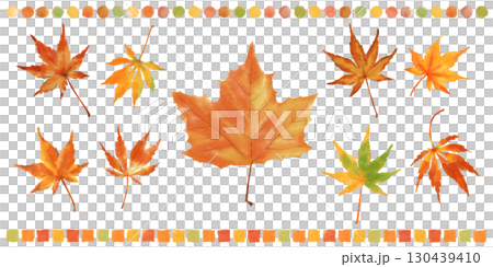 秋を彩る紅葉したもみじの葉とボーダー装飾　手描き水彩タッチのイラストセット　 130439410