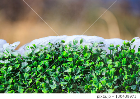 凍り付く緑の葉 凍り付く緑の葉 130439973
