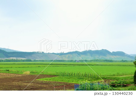 北海道 胆振東部地震 土砂崩れ跡地 北海道 胆振東部地震 土砂崩れ跡地 130440230