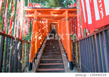 東京都　千代田区永田町　山王日枝神社　山王稲荷神社　千本鳥居 130440319