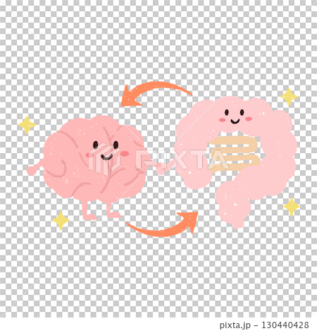 Hand-drawn cute illustration of the gut-brain axis Hand-drawn cute illustration of the gut-brain axis 130440428