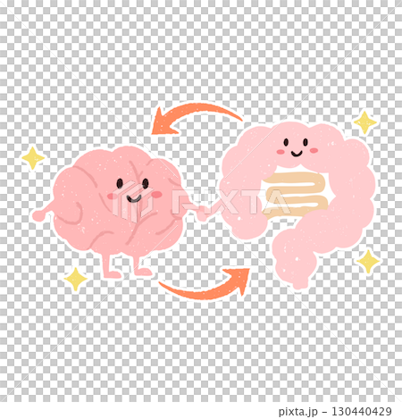 Cute hand-drawn illustration of the gut-brain axis with a white border 130440429