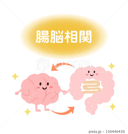 手描きのかわいい腸脳相関のイラスト 130440430