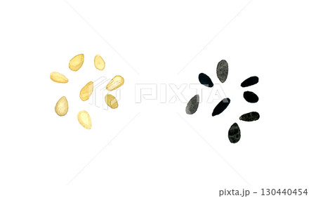 白ゴマ・黒ゴマのセット　野菜・薬味の手描き水彩イラスト素材 130440454