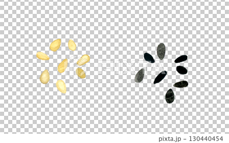 一組白芝麻和黑芝麻。手繪水彩畫，描繪蔬菜和調味品。 130440454
