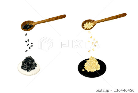 白ゴマ・黒ゴマのセット 野菜・薬味の手描き水彩イラスト素材 白ゴマ・黒ゴマのセット 野菜・薬味の手描き水彩イラスト素材 130440456