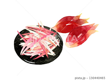 ミョウガの千切り　野菜・薬味の手描き水彩イラスト素材 130440465