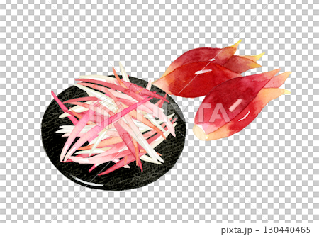 ミョウガの千切り　野菜・薬味の手描き水彩イラスト素材 130440465