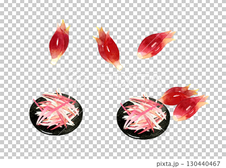 ミョウガのセット　野菜・薬味の手描き水彩イラスト素材 130440467