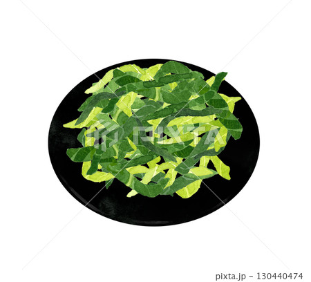 大葉の千切り　野菜・薬味の手描き水彩イラスト素材 130440474