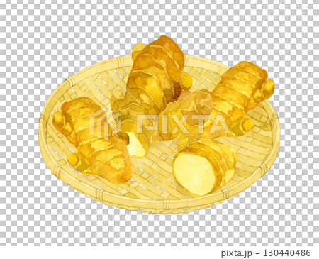 竹ざるに乗った生姜　野菜・薬味の手描き水彩イラスト素材 130440486