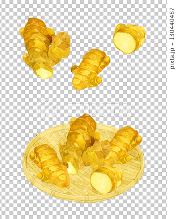 薑套裝 - 蔬菜和調味品的手繪水彩插圖集 130440487